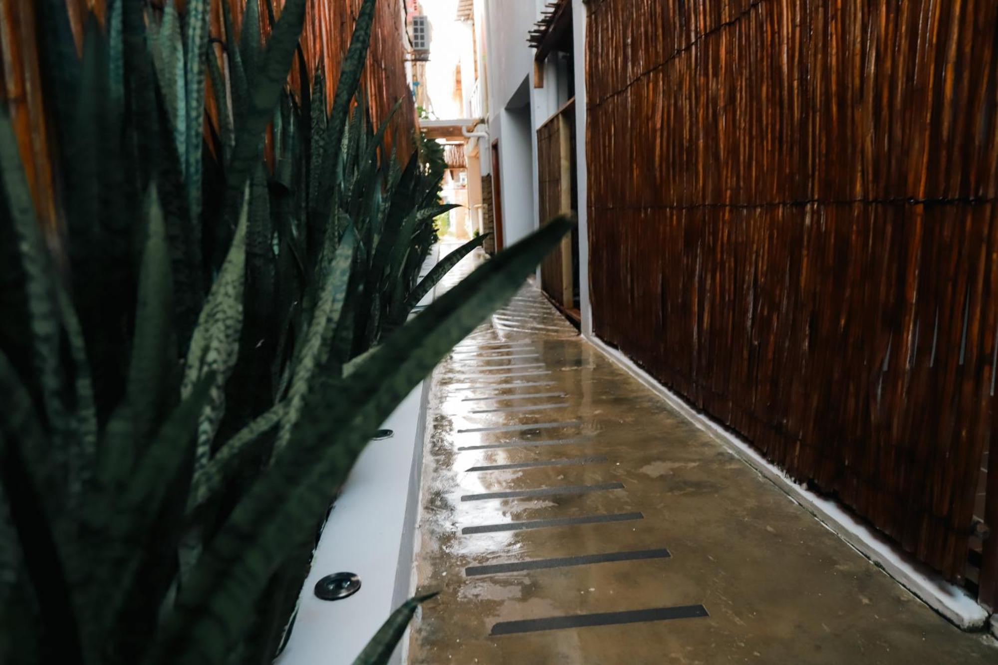Hostal Casa En La Cienaga Rincon Del Mar エクステリア 写真
