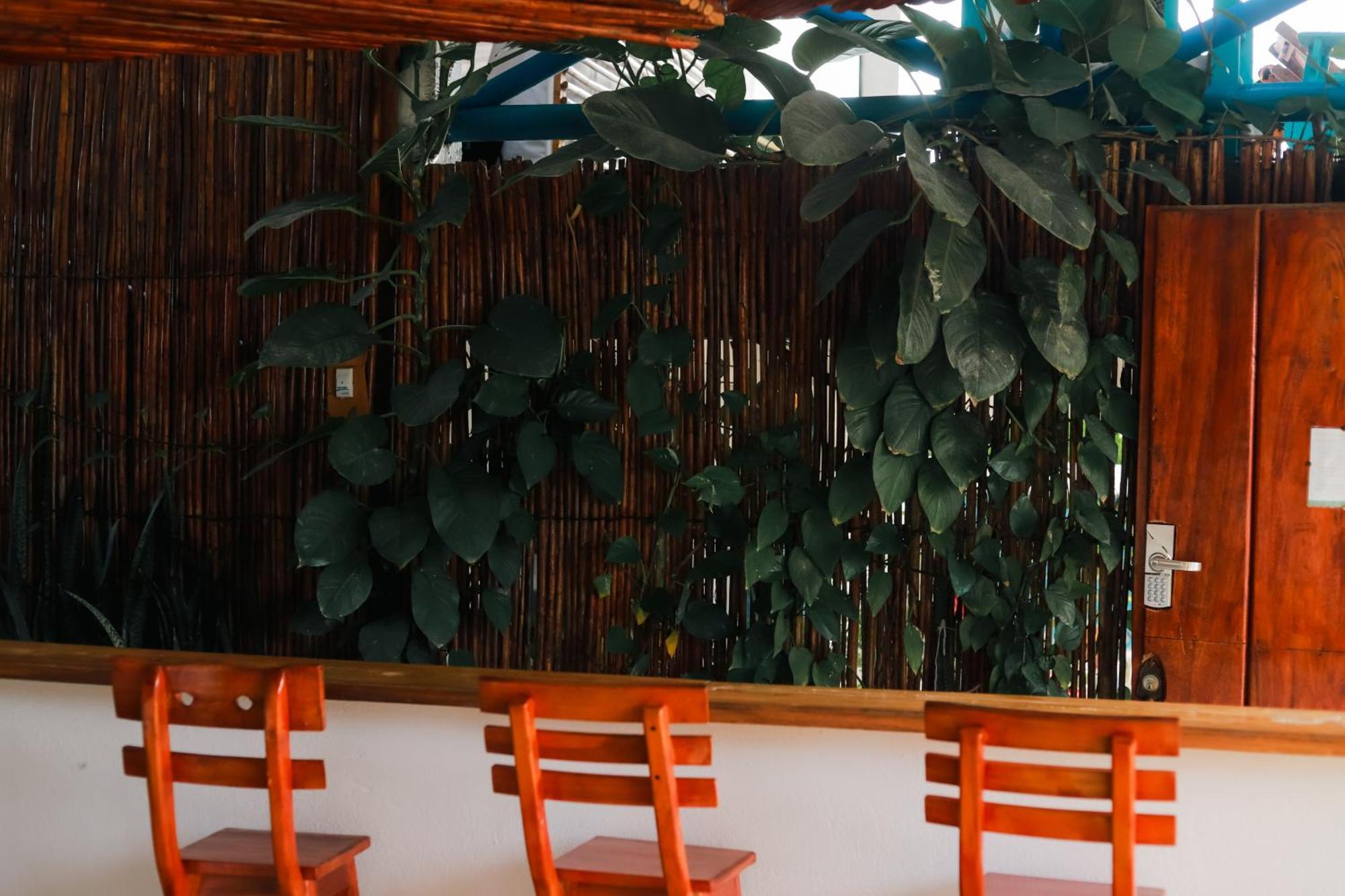 Hostal Casa En La Cienaga Rincon Del Mar エクステリア 写真